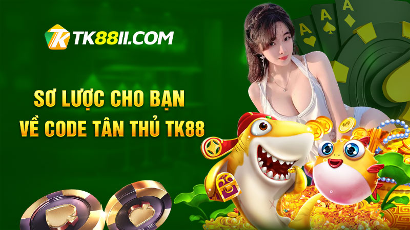 Sơ lược cho bạn về Code tân thủ TK88